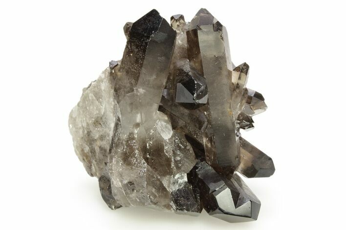 Dark Smoky Quartz Crystal Cluster - Brazil #266154